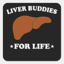 Suche nach organ aufkleber Transplantation