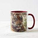 Suche nach sumatran tassen Tiere