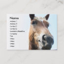Suche nach pferd reiter visitenkarten Western