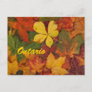 Suche nach autumn postkarten Herbst