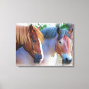 Suche nach malen pferd leinwandbilder Foto