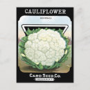 Suche nach blumenkohl postkarten Jede person