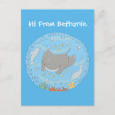 Suche nach mantarochen postkarten Für alle