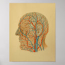 Suche nach menschlicher kopf poster Medizinisch