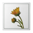 Suche nach viktorianische kunst fliesen Mit blumen