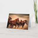 Suche nach laufendes pferd karten Ranch
