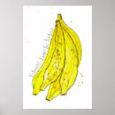 Suche nach lustige banane poster Lebensmittel