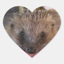 Suche nach herz igel aufkleber Liebe