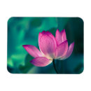 Suche nach chinesische kultur magnete Blume
