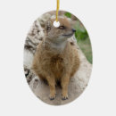 Suche nach mungo Wild lebende tiere