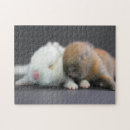 Suche nach extreme puzzle Fotografie