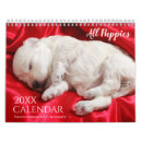 Suche nach hund kalender 2025