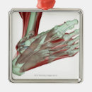 Suche nach füße ornamente Büro doktors