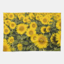 Suche nach valensole Blume