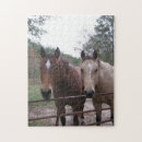 Suche nach pferdeartige puzzle Western