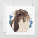 Suche nach klappen karten Kaninchen