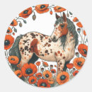 Suche nach appaloosa aufkleber Pferd