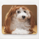 Suche nach langes haar mousepads Tier