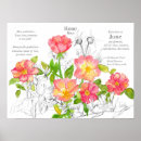 Suche nach wilde rose poster Jede person