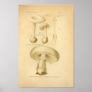 Suche nach pilz kunst Vintag