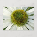 Suche nach attraktive postkarten Blume