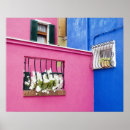 Suche nach burano poster Rosa