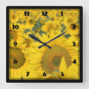 Suche nach photography kunst Floral