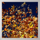 Suche nach herbstlaub poster Blätter