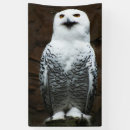 Suche nach owl banner Schnee