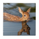 Suche nach minnesota fliesen Verblassen