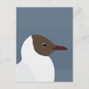 Suche nach seagull postkarten Strand