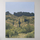 Suche nach saguaro cactus poster Wüste