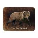 Suche nach bär magnete Alaska