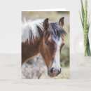 Suche nach filly karten Pferd