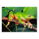 Suche nach suriname postkarten Bunt