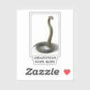 Suche nach snake aufkleber Reptil