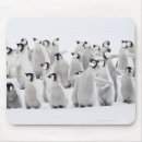 Suche nach temperatur mousepads Wild lebende tiere