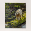 Suche nach bär puzzle Wald