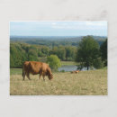 Suche nach limousine postkarten Landschaft