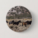 Suche nach mustang buttons Gruppe