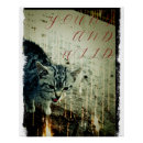 Suche nach kitty poster Katze