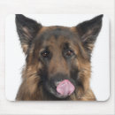 Suche nach schäferhund mousepads Vertikal