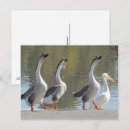 Suche nach seeufer postkarten Vögel