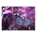 Suche nach coole schmetterlinge postkarten Natur