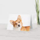Suche nach walisisch karten Corgi