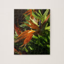 Suche nach paradiesvogel puzzle Exotisch