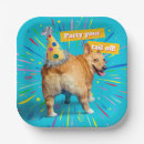 Suche nach corgi party teller Welpe