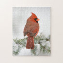 Suche nach brüste puzzle Vogelart