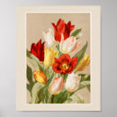 Suche nach weiße tulpe poster Tulpen