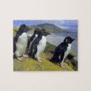 Suche nach rockhopper pinguin Eudyptes chrysocome